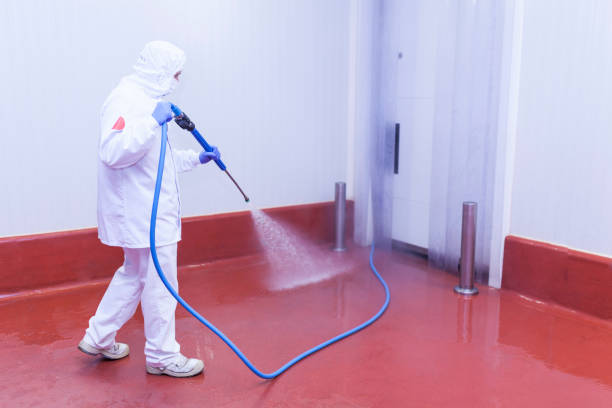 Pre-Holiday Cleaning in Westville, IL