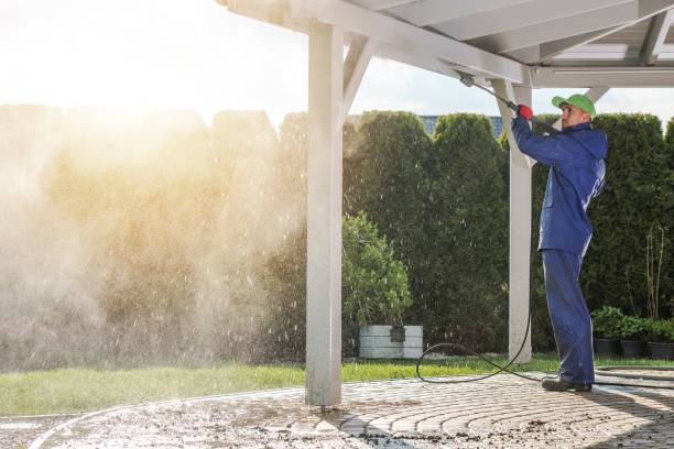 Professional Pressure Washing Services in Westville, IL