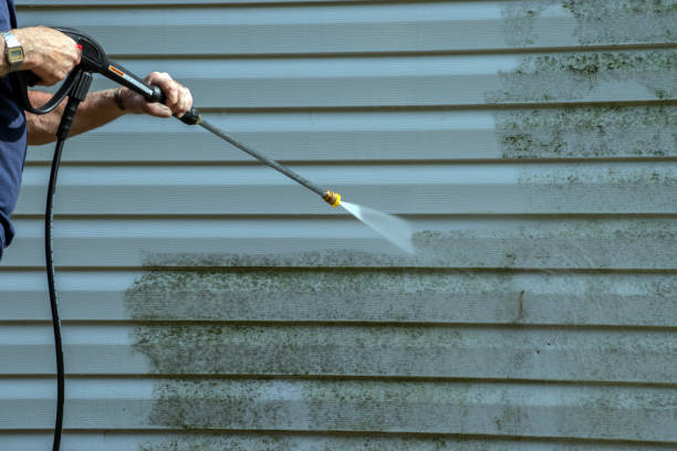 Animal Enclosure Cleaning in Westville, IL